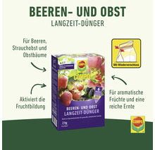 Compo Beeren- und Obst Langzeit-Dünger Packung