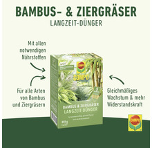 Packung Bambus und Ziergräser Langzeitdünger von Compo