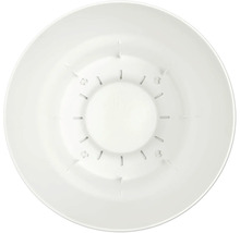 Innenansicht eines runden weißen Pflanztopfbodens aus Kunststoff mit Entwässerungsschlitzen.