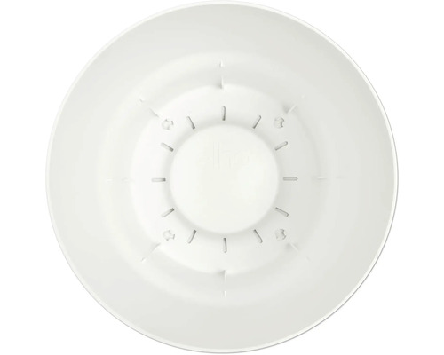 Innenansicht eines runden weißen Pflanztopfbodens aus Kunststoff mit Entwässerungsschlitzen.