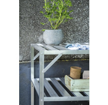 Aluminiumregal für das Gewächshaus mit zwei Etagen, bestückt mit einer Pflanze im Topf, Gartenhandschuhen und Anzuchttöpfen.
