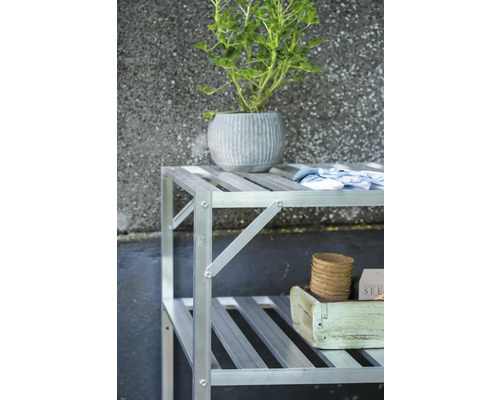 Aluminiumregal für das Gewächshaus mit zwei Etagen, bestückt mit einer Pflanze im Topf, Gartenhandschuhen und Anzuchttöpfen.
