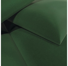 Nahaufnahme eines grünen Polsters mit weicher Samtoberfläche.