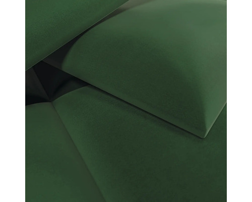 Nahaufnahme eines grünen Polsters mit weicher Samtoberfläche.