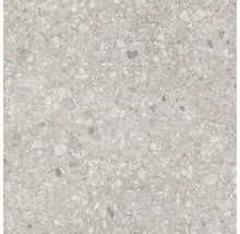 Feinsteinzeugfliese in grauer Terrazzo-Optik mit Steineinschlüssen.