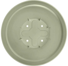 Runder Kunststoffuntersetzer für Pflanztöpfe mit vier Entwässerungslöchern und kreuzförmigem Profil in der Mitte.