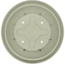 Runder Blumenuntersetzer aus Kunststoff in Salbeigrün von oben gesehen.