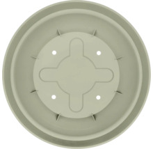 Runder Untersetzer für Pflanztöpfe aus Kunststoff mit Entwässerungsöffnungen.