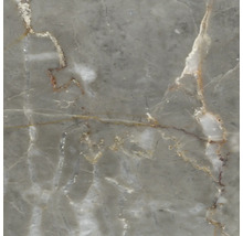Detailaufnahme einer grauen Oberfläche mit Marmorierung sowie weißen und bräunlichen Adern.