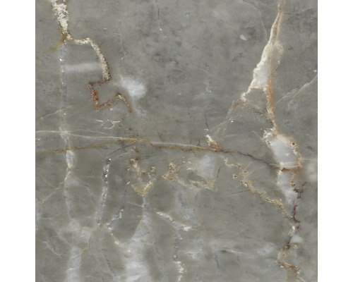 Detailaufnahme einer grauen Oberfläche mit Marmorierung sowie weißen und bräunlichen Adern.