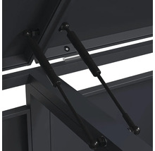 Zwei schwarze Gasdruckfedern stützen den geöffneten Deckel einer Metall-Aufbewahrungsbox.