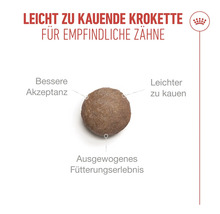Leicht zu kauende Krokette für empfindliche Zähne, bessere Akzeptanz und ausgewogenes Fütterungserlebnis. Royal Canin Logo.