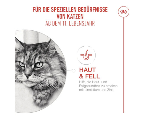Infografik für Katzenfutter ab 11 Jahren zur Unterstützung von Haut und Fell mit Linolsäure und Zink, Royal Canin Logo.