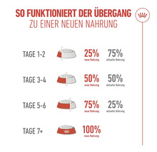 Infografik zur Futterumstellung in sieben Tagen mit Mischverhältnissen in Prozent von neuem und aktuellem Futter sowie Royal Canin Logo.
