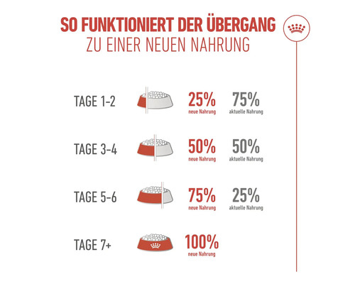 Infografik zur Futterumstellung in sieben Tagen mit Mischverhältnissen in Prozent von neuem und aktuellem Futter sowie Royal Canin Logo.