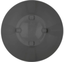 Elho Pflanzgefäß mit integrierten Rollen an der Unterseite.