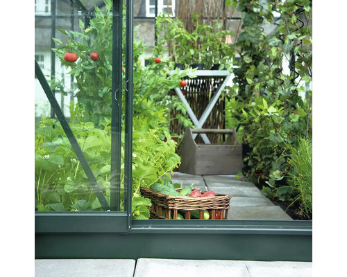 Blick in ein Gewächshaus mit dunkelgrünem Rahmen, bepflanzt mit Tomaten und Erdbeeren, sowie einem Korb voll Gemüse auf Steinplatten.