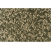 Mischung aus Aquarium-Futtertabletten für Bodenfische in verschiedenen Grün- und Brauntönen.