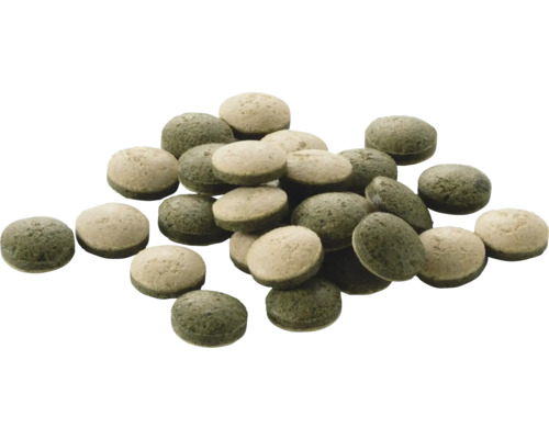 Grüne und beige Futtertabletten für Fische in runder Form.