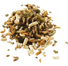 Mischung aus Teichfischfutter mit getrockneten Insekten, Pellets und Flocken.