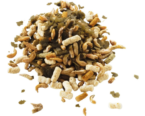 Mischung aus Teichfischfutter mit getrockneten Insekten, Pellets und Flocken.