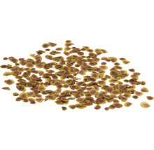 Fischfutterflocken für Aquarienfische.