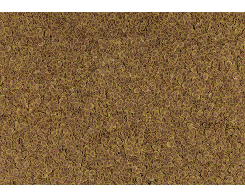 Fischfutter in Form von runden Chips für Aquarienfische.