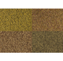 Vier verschiedene Sorten Aquarienfischfutter in Form von kleinen runden Scheiben.