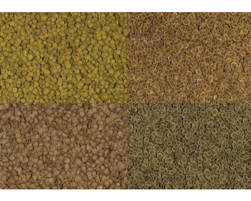 Vier verschiedene Sorten Aquarienfischfutter in Form von kleinen runden Scheiben.