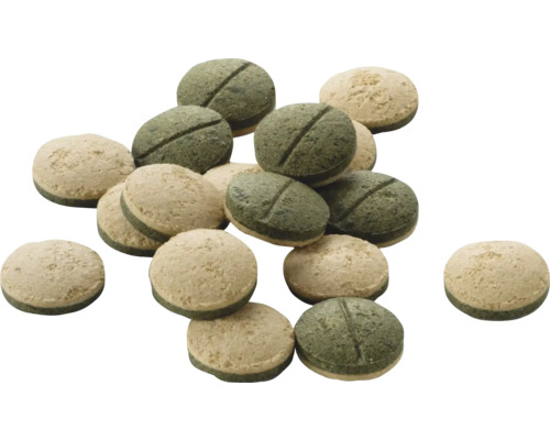 Zweischichtige Fischfutter-Tabletten für Bodenfische im Aquarium.