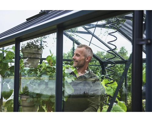 Ein Mann pflegt verschiedene Grünpflanzen in einem modernen Gewächshaus mit schwarzem Metallrahmen und großen Glasfenstern.