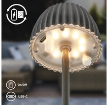 Detailansicht einer wiederaufladbaren LED-Leuchte mit USB-C-Anschluss und Ein-Aus-Schalter. Der Lampenschirm ist gerippt.