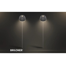 Zwei Briloner Solar-Gartenleuchten mit geripptem Schirm und warmweißem Licht nach oben und unten an langen Erdspießen. Briloner Logo.