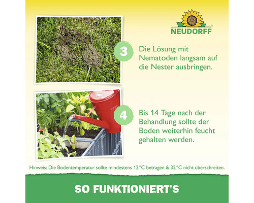 Neudorff Logo. Schritt 3: Nematoden-Lösung auf Nester ausbringen. Schritt 4: Boden bis 14 Tage nach Behandlung feucht halten. Bodentemperatur 12 bis 32 Grad Celsius.
