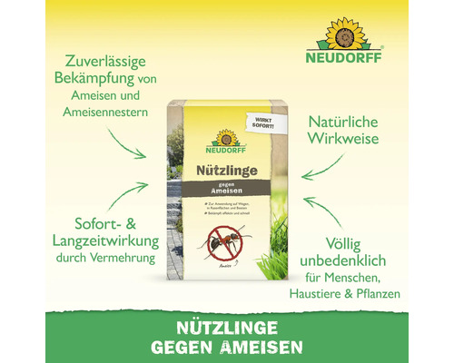 Neudorff Nützlinge gegen Ameisen zur Bekämpfung von Ameisennestern auf Wegen, Rasenflächen und Beeten. Natürliche Wirkweise und unbedenklich.