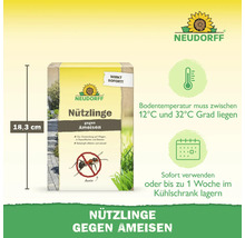 Neudorff Logo, Nützlinge gegen Ameisen, Packungshöhe 18,3 Zentimeter, Anwendung bei 12 bis 32 Grad Bodentemperatur, Lagerung im Kühlschrank.