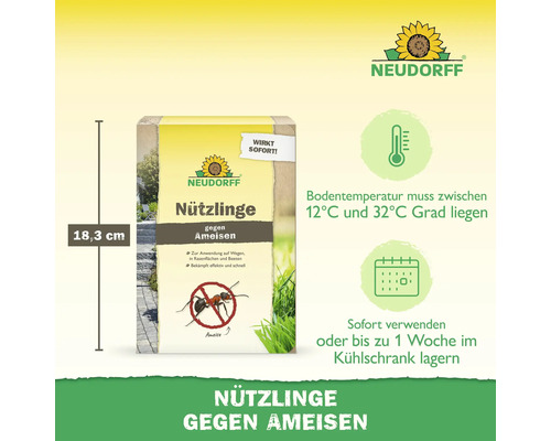 Neudorff Logo, Nützlinge gegen Ameisen, Packungshöhe 18,3 Zentimeter, Anwendung bei 12 bis 32 Grad Bodentemperatur, Lagerung im Kühlschrank.