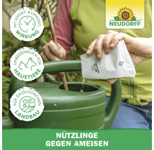 Anwendung von Neudorff Nützlingen gegen Ameisen in einer Gießkanne. Ökologisch, unbedenklich für Haustiere, mit Langzeitwirkung. Neudorff Logo.