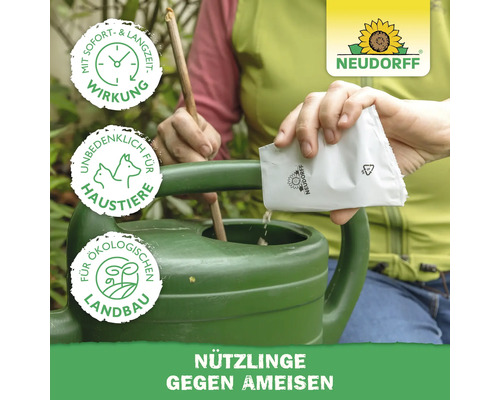 Anwendung von Neudorff Nützlingen gegen Ameisen in einer Gießkanne. Ökologisch, unbedenklich für Haustiere, mit Langzeitwirkung. Neudorff Logo.
