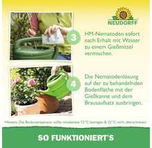 Anleitung für Neudorff Nematoden: Schritt 3 zeigt Mischen in Gießkanne, Schritt 4 das Ausbringen. Neudorff Logo. Nutzung bei 12 bis 32 Grad Celsius.