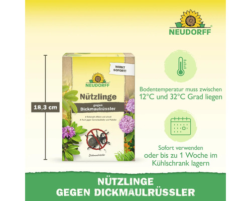 Neudorff Logo. Nützlinge gegen Dickmaulrüssler, 18,3 Zentimeter hoch. Bodentemperatur 12 bis 32 Grad Celsius. Sofort nutzen oder 1 Woche kühlen.