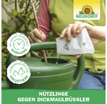 Neudorff Logo. Eine Person füllt Nützlinge gegen Dickmaulrüssler aus einem Beutel in eine Gießkanne. Sofort- und Langzeitwirkung, unbedenklich für Haustiere.
