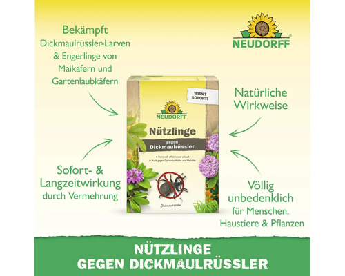 Neudorff Nützlinge gegen Dickmaulrüssler Larven und Engerlinge mit natürlicher Wirkweise und Langzeitwirkung. Unbedenklich für Mensch und Tier.