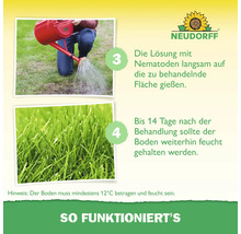 Neudorff Logo. Anleitung für Nematoden: Lösung gießen und Boden 14 Tage feucht halten bei mindestens 12 Grad Celsius.