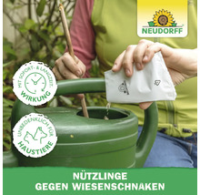 Anwendung von Neudorff Nützlingen gegen Wiesenschnaken in einer Gießkanne. Sofort- und Langzeitwirkung sowie unbedenklich für Haustiere.