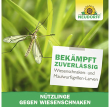 Neudorff Logo, Wiesenschnake auf Gras, Nützlinge gegen Wiesenschnaken- und Maulwurfsgrillen-Larven.