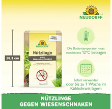 Neudorff Nützlinge gegen Wiesenschnaken, Packungshöhe 18,3 Zentimeter, Anwendung ab 12 Grad Celsius Bodentemperatur, gekühlt 1 Woche lagerbar.