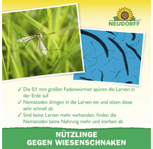 Neudorff Logo und Informationen zur Bekämpfung von Wiesenschnaken durch Nematoden. Bilder einer Schnake und von Nematoden unter dem Mikroskop.