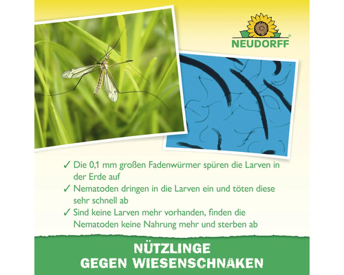 Neudorff Logo und Informationen zur Bekämpfung von Wiesenschnaken durch Nematoden. Bilder einer Schnake und von Nematoden unter dem Mikroskop.