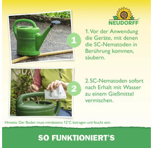 Anleitung Neudorff SC-Nematoden: 1. Gießkanne reinigen, 2. Nematoden mit Wasser mischen. Boden feucht, mindestens 12 Grad Celsius. Neudorff Logo.
